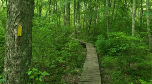 With A Waterfall And Boardwalk, The Little-Known Vin Gormley Trail In Rhode Island Is Unexpectedly Magical