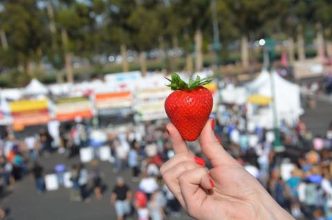 Enjoy The Most Delicious Spring Event In Southern California At The Strawberry Festival