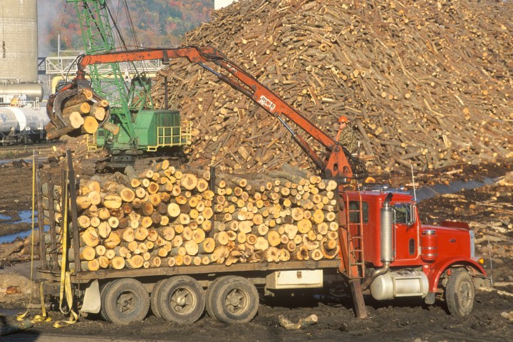 logging truck near paper mill