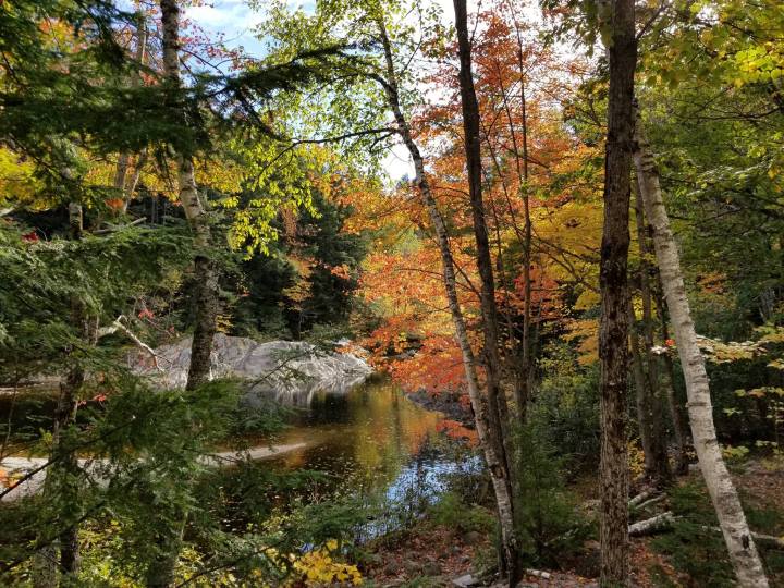 fall at river in Bethel, Maine