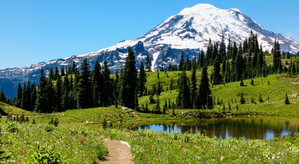 The Easy Loop Trail In Washington That Will Make You Feel Like You’ve Entered Another World