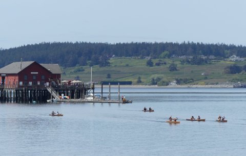 Celebrate The Ancient Art Of Native American Canoe Racing At Washington's Penn Cove Water Festival