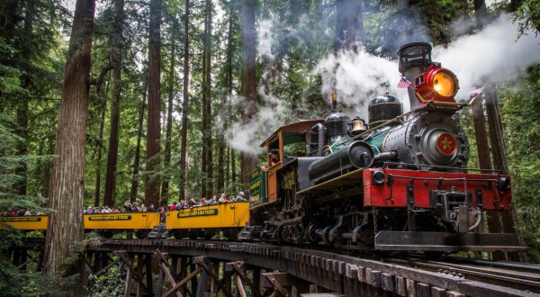 Roaring Camp Train Rides Offer Some Of The Most Breathtaking Views In Northern California