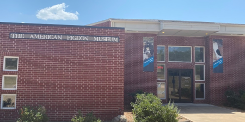 There's An American Pigeon Museum In Oklahoma, And It's One Of The Quirkiest Places You'll Ever Go
