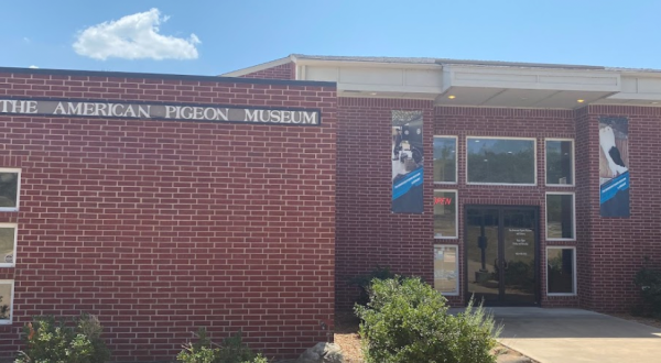 There’s An American Pigeon Museum In Oklahoma, And It’s One Of The Quirkiest Places You’ll Ever Go