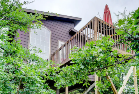 Sleep Among Towering Trees  At This Wondrous Tree House In Oklahoma