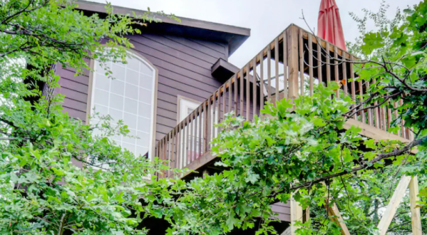 Sleep Among Towering Trees  At This Wondrous Tree House In Oklahoma