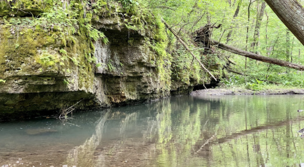 A Bit Of An Unexpected Natural Wonder, Few People Know There Are Moss-Covered Cliffs Hiding In Illinois