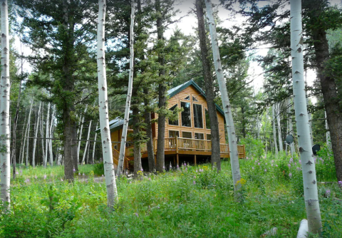 There's A Breathtaking Cabin In Idaho Tucked Away Near Yellowstone National Park