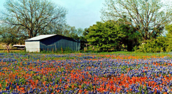 15 Slow-Paced Small Towns Near Dallas-Fort Worth Where Life Is Still Simple