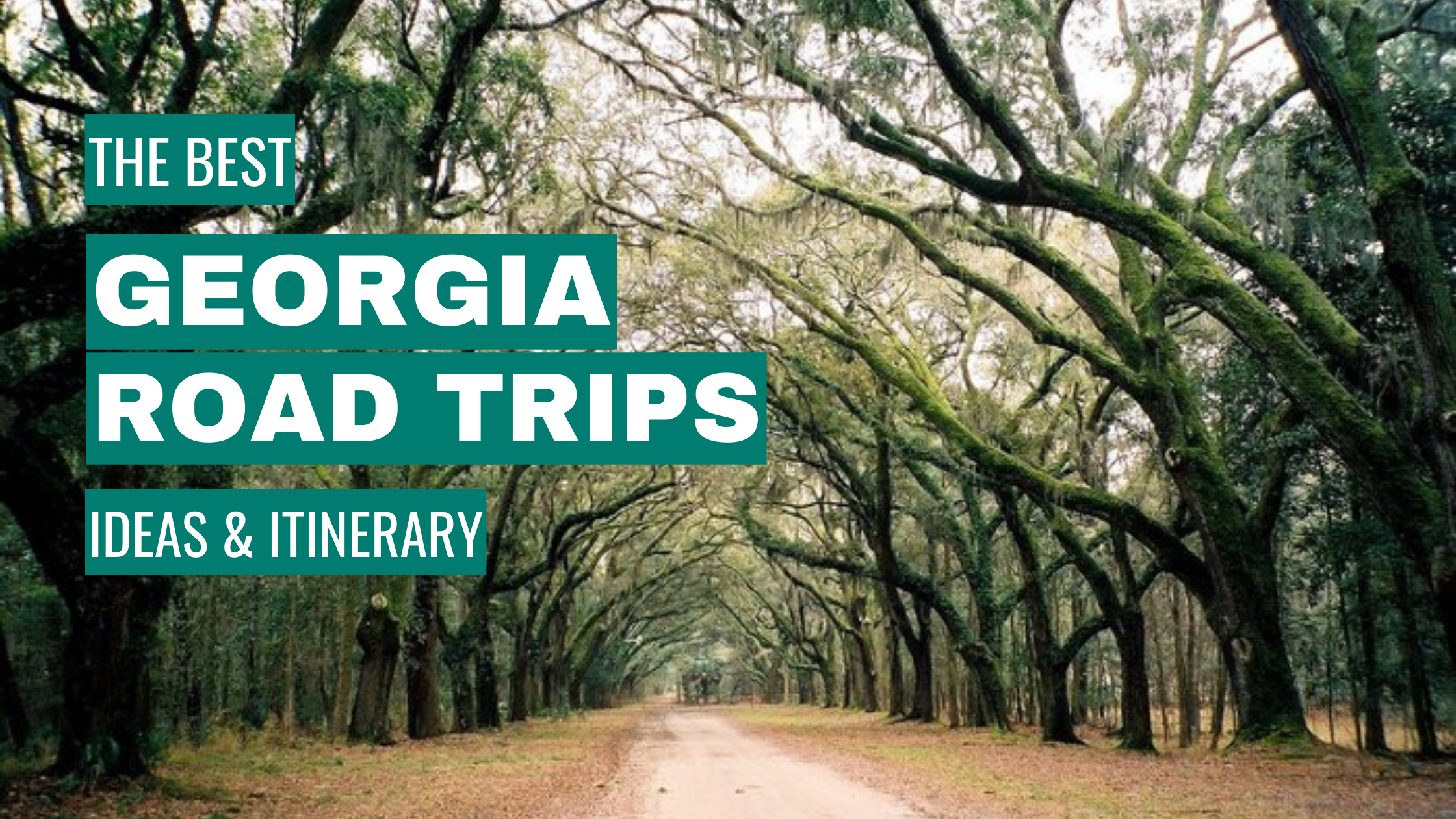Georgia Road Trip Ideas: 11 Best Road Trips + Itinerary