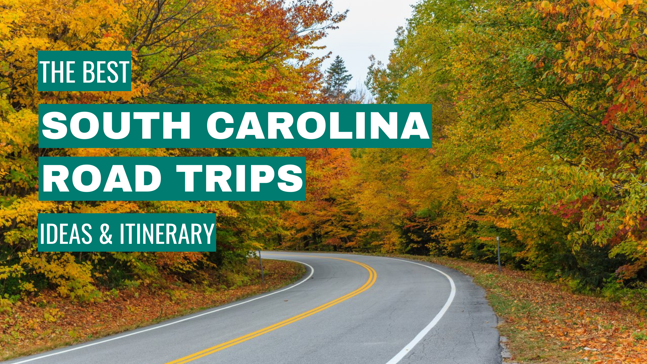 South Carolina Road Trip Ideas: 11 Best Road Trips + Itinerary