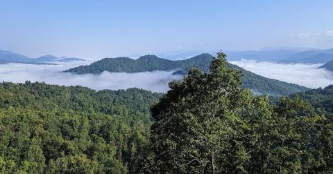 This Scenic Drive Runs Straight Through Georgia's Black Rock Mountain State Park, And It's A Breathtaking Journey