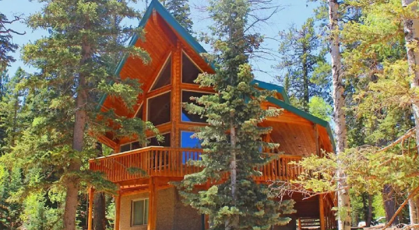 Sleep Among Towering Pines And Aspens At This Wondrous Cabin In Utah