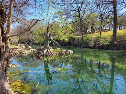 Cypress Bend Park Is A Riverfront Park In Texas Where The Water Is A Mesmerizing Blue