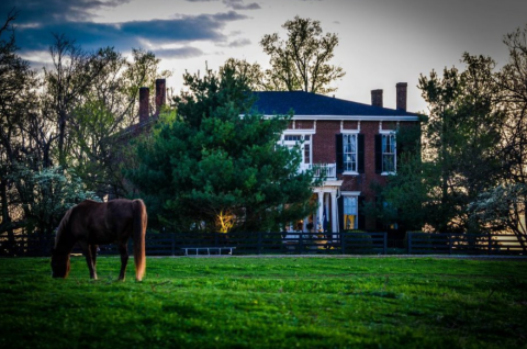 There's A Bed & Breakfast Hidden On A 600-Acre Farm In Kentucky That Feels Like Heaven
