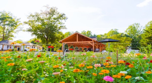 Pick Your Own Flowers At This Charming Farm Hiding In South Carolina