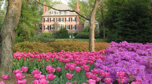 A Trip To Maryland’s Never-ending Tulip Garden Will Make Your Spring Complete