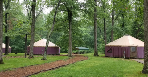 Go Glamping At These 2 Campgrounds In Illinois With Yurts For An Unforgettable Adventure