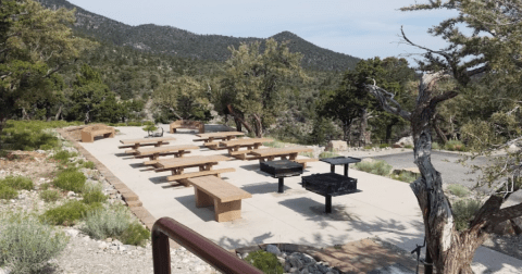 You Can Rent This Entire Campground In Nevada For Just $67 Per Night