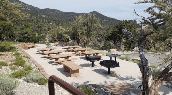 You Can Rent This Entire Campground In Nevada For Just $67 Per Night