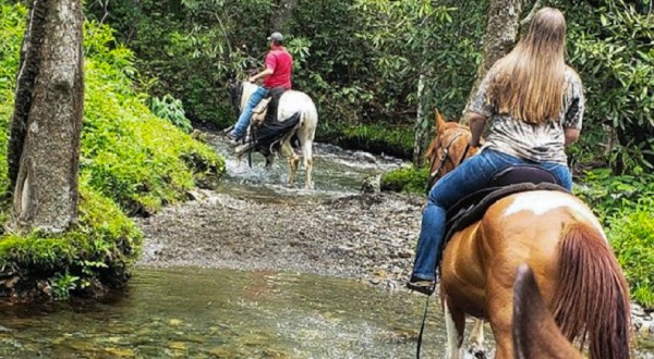 The Horseback Waterfall Tour In North Carolina That’s Simply Unforgettable