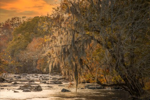 The Saluda Riverwalk Trail In South Carolina Leads You Straight To A Beautiful Island