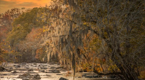 The Saluda Riverwalk Trail In South Carolina Leads You Straight To A Beautiful Island
