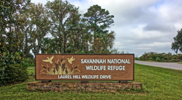 Straddling The South Carolina-Georgia Border, The Savannah National Wildlife Refuge Is One Of The Most Unique Places You’ll Ever Visit