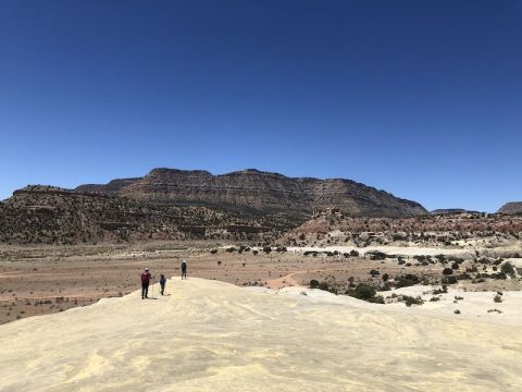 Walk Along Hundreds Of Dinosaur Tracks On This Short And Easy Hiking Trail In Utah