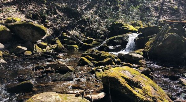 We Bet You Didn’t Know There Is A Miniature Waterfall In North Carolina