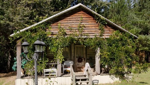 Tucked Away in The Small Town Of Blackville, South Carolina, Wisteria Cottage Is Perfect For A Getaway