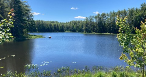 Few People Know There's A Beautiful State Park Hiding In This Tiny New Hampshire Town