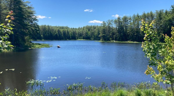 Few People Know There’s A Beautiful State Park Hiding In This Tiny New Hampshire Town