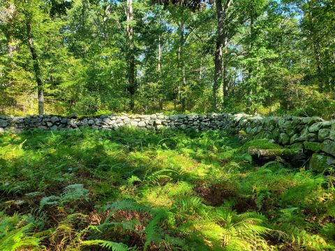 This Trail Leading To Ruins Is Often Called One Of Rhode Island’s Most Peaceful Hikes
