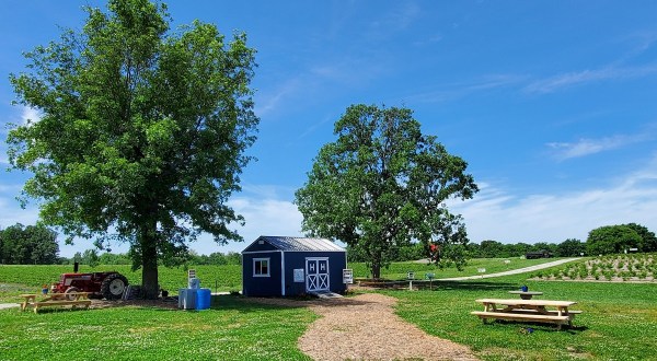 You’ll Have Loads Of Fun At This Pick-Your-Own Fruit Farm In Missouri