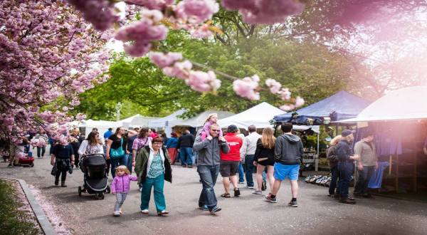 Stop And Smell The Flowers At The Rochester Lilac Festival In New York 