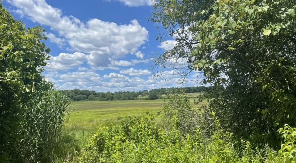 Conanicut Island Sanctuary In Jamestown, Rhode Island Is So Little-Known, You Just Might Have It All To Yourself