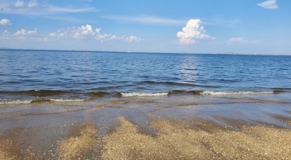 The Amazing Seashell Beach Every New Jerseyan Will Want To Visit