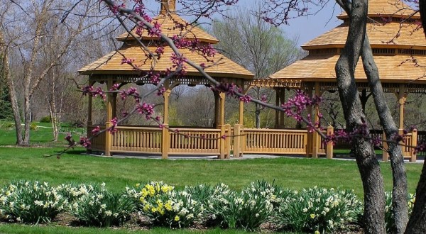Walk Through A Sea Of Flowers At The Iowa Arboretum And Gardens’ Spring Flower Walk