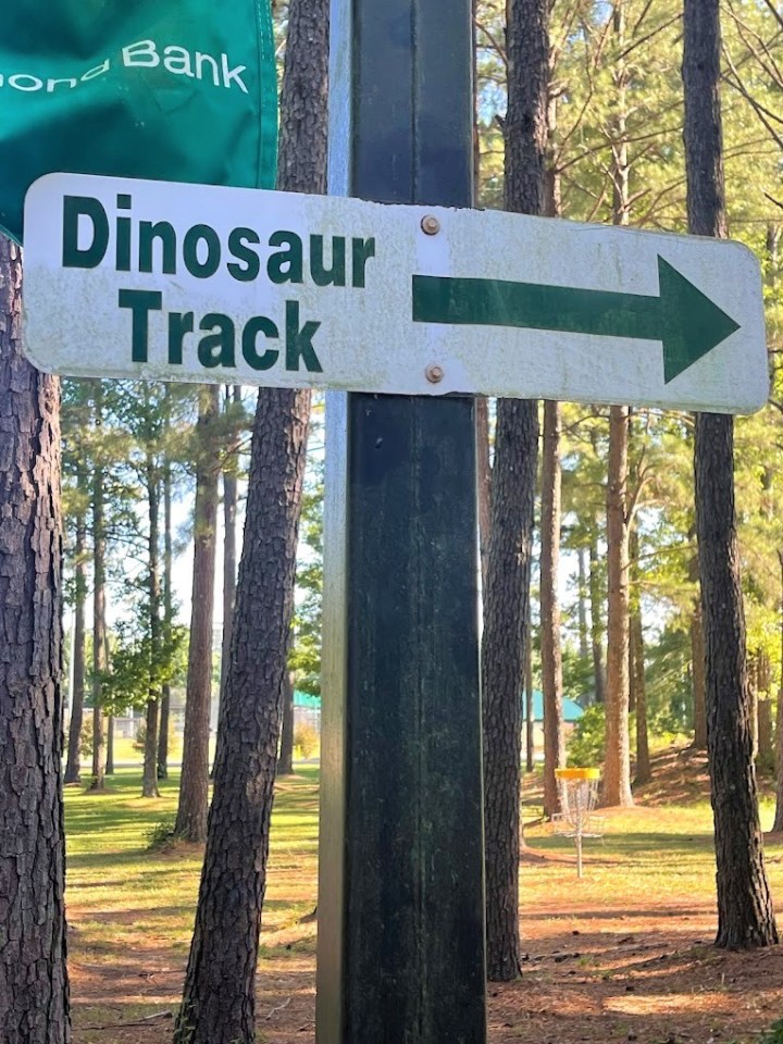 dinosaur tracks in Arkansas