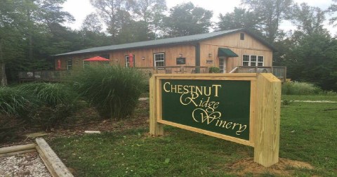 You Can Drink Wine After Hiking Ben's Run At Chestnut Ridge Winery In West Virginia