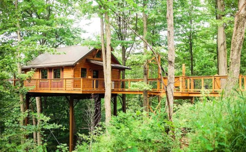 Spend The Night In This Incredible Ohio Treehouse For An Unforgettable Adventure