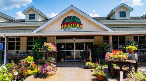You'll Find Hundreds Of Varieties Of Plants, Herbs And Vegetables At Thies Farm & Greenhouses In Missouri