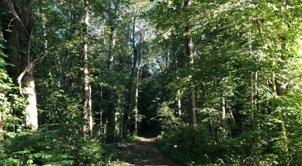 The Unique Hike In Rhode Island That Leads You To A Troll Cave