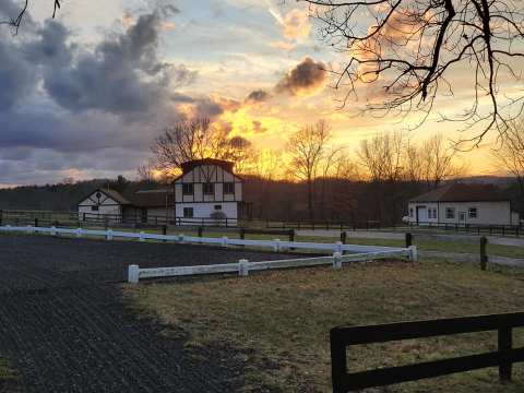 There's A Bed And Breakfast Hidden On A Horse Farm In Virginia That Feels Like Heaven