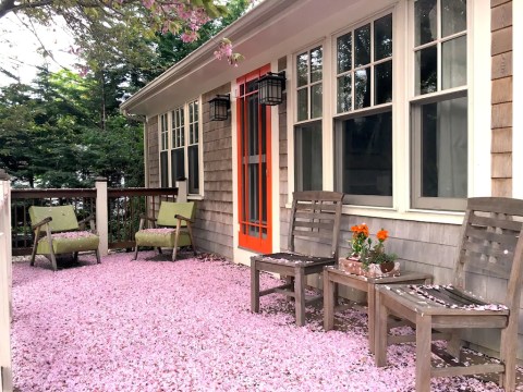 You'll Never Forget Your Stay At This Charming Vrbo In Massachusetts With It's Very Own Screened-In Porch