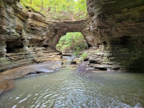 This Hidden Place In Tennessee Has A Magnificent Natural Bridge