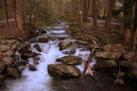 Few People Know There's A Beautiful City Park Hiding In This Tiny Tennessee Town