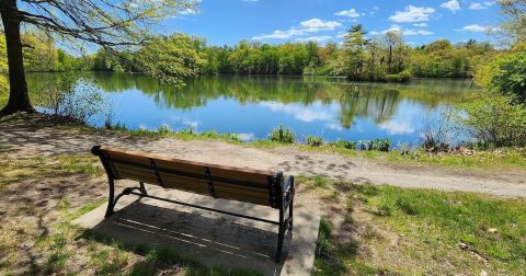 Rhode Island's Most Refreshing Hike, Roger Williams Pond Trail, Will Lead You Straight To A Beautiful Pond